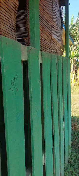 indah nya hidup di desa #reelsfypシ #villagelife