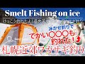 【氷上ワカサギ釣り】札幌近郊ワカサギ釣り！でかいアレも釣れた！