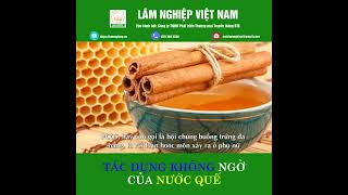 Tác dụng không ngờ của nước quế