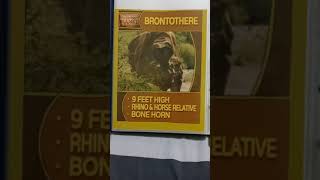 Prehistoric Planet Season 2 - Brontothere Profile