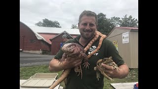 Animal Adventures with Jordan: Reptile Roundup