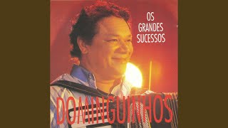 Chorinho pra ele (Instrumental)