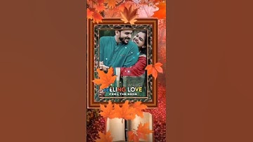ami sudhu cheyechi tomay Status | aesthetic status | love status | #status#whatsappstatus #4kstatus