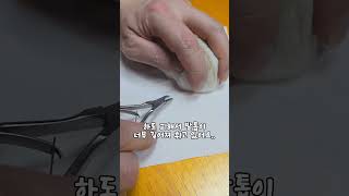 햄스터 발톱자르기 2탄 뒷발 너무 힘들어요 #hamsters #pets #동물키우기 #cute #햄스터 #ハムスター