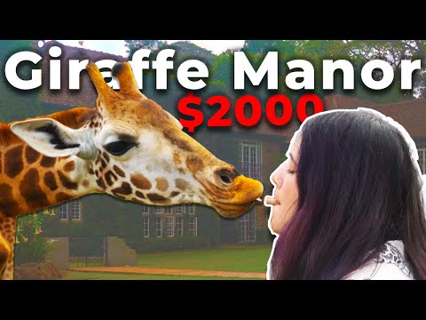 Was this $2000