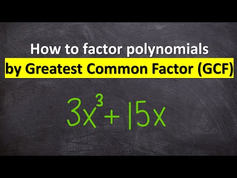 Factoring polynomials by