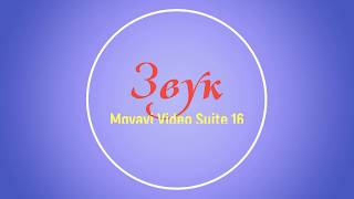 Работа со звуком в программе Movavi Video Suite 16. Понятная программа Работа со звуком в программе Movavi Video Suite 16. Понятная программа