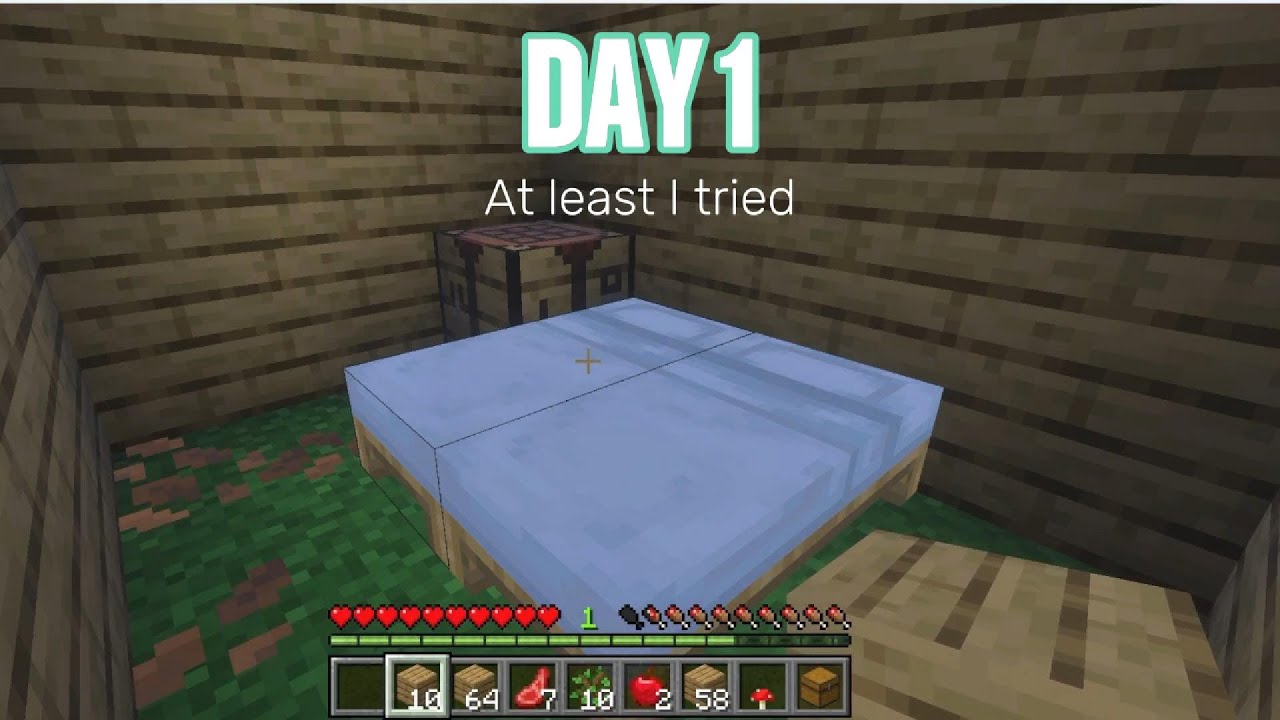 Minecraft day 1 - YouTube