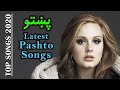 تحميل أغنية Pashto Audio Songs Mp3 Free Download