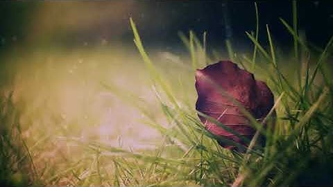 سورة التحريم كاملة اسلام صبحي #سورة التحريم ##اسلام صبحي##