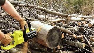 FIRST CUT Review and DEMO  Ryobi 14 in. 40Volt Brushless LithiumIon Cordless Chainsaw