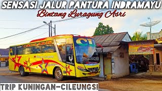 Bosen Cipali Coba Sensasi Jalur Pantura Indramayu!!Trip Kuningan-Jakarta Bintang Luragung Asri CL