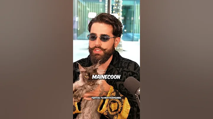 Watch the video about Qual nome da pra ele? #ruyter #gato #mainecoon