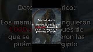 Sabías esto?#dinosaurios#prehistoria