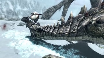 The Divine Crusader Slays a Dragon