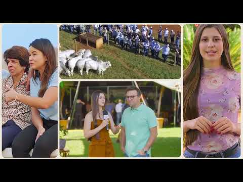 Canal do Criador Completa 4 Anos com Conteúdo Exclusivo para o Pecuarista!