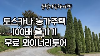 토스카나 와이너리투어 농가주택 농가민박 Agriturismo La Sovana 이탈리아 소도시여행 와인테이스팅 Le Buche Winery 여행vlog 유럽자동차여행 12부