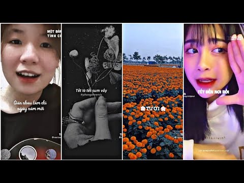 Video 【Nhạc Chill Tết????】Đón Giao Thừa Cùng Những Bản Nhạc... - youtube
