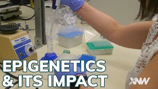 Epigenetics & Its Impact