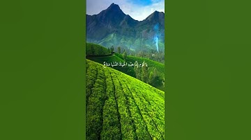 تلاوة خاشعة / القارئ : رعد الكردي  .. #قرآن #quran #اكسبلور #لايك #السعودية #ترند #مصر #الجزائر