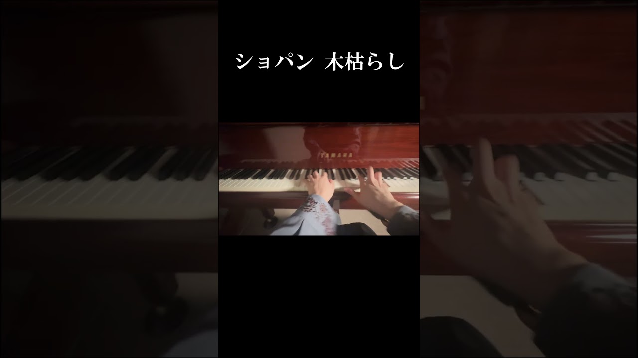 #木枯らし #ショパン #ピアノ #クラシック