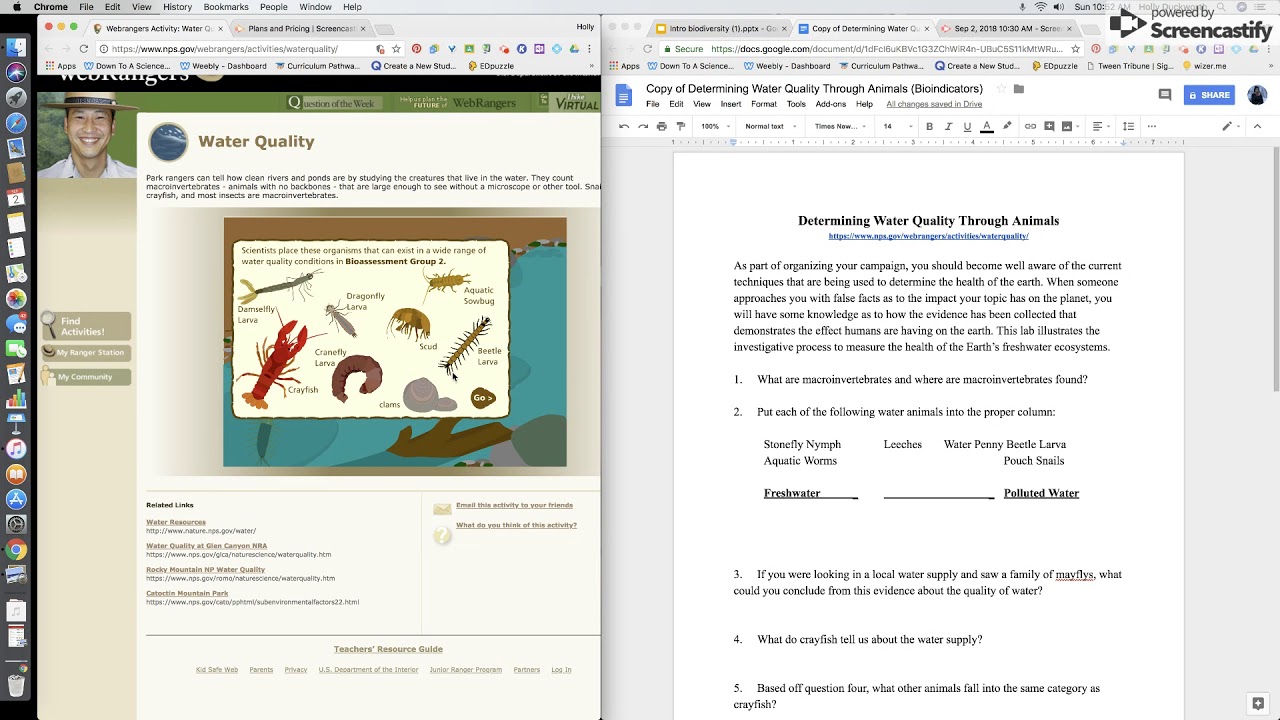 Bioindicators as Water Quality Assessments - YouTube