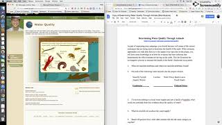Bioindicators as Water Quality Assessments