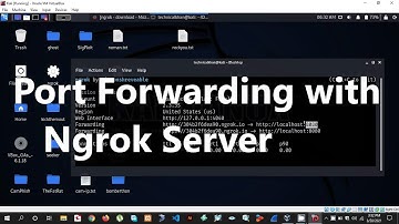 How to Port Forward using Ngrok Server | How To Setup Ngrok HTTP and TCP Tunnels | Port Forwarding