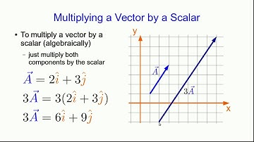 CBU PHYS 1104 - Preliminaries Lecture 5: A First Look at Vectors (Part 2 - old version)