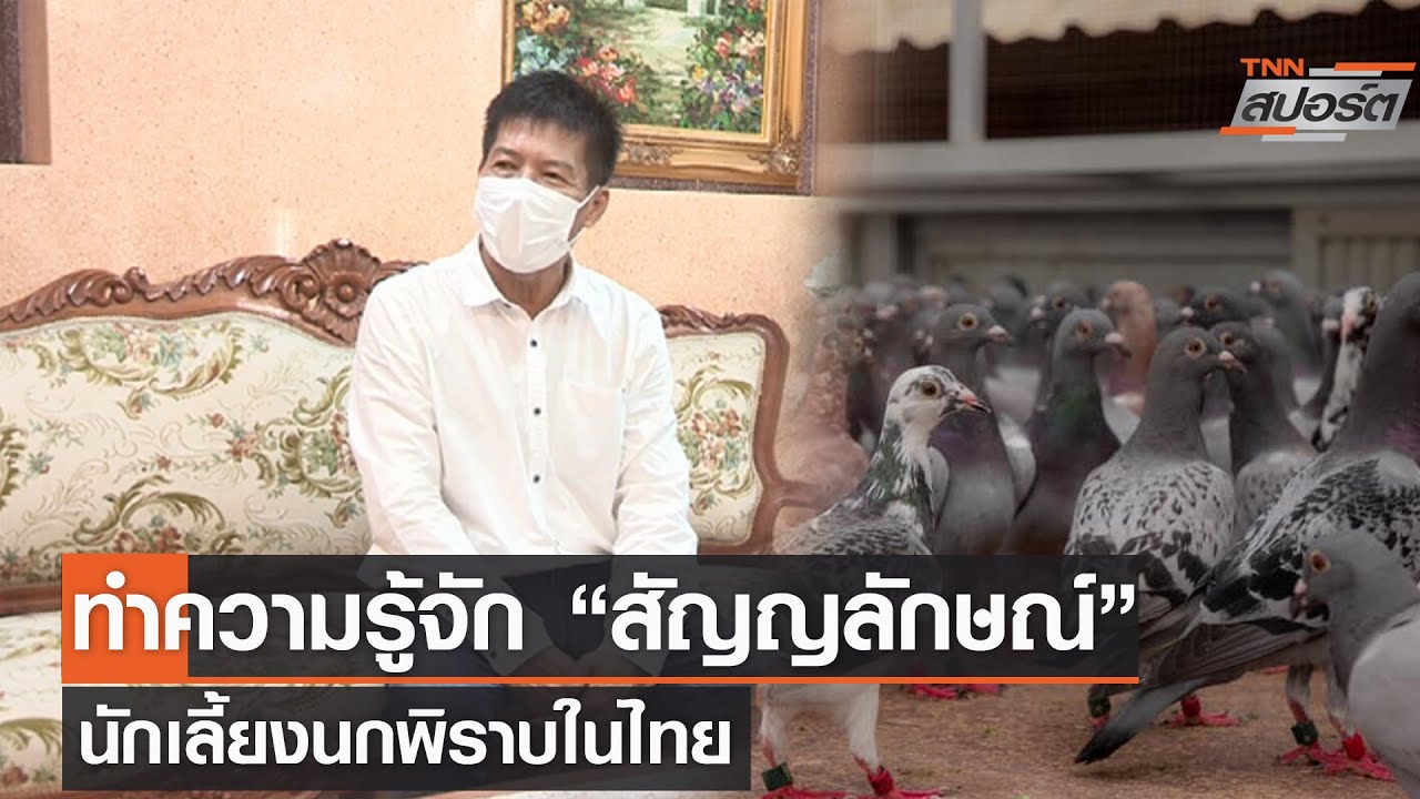ทำความรู้จักคุณสัญญลักษณ์นักเลี้ยงนกพิราบไทยที่น่าจับตา l TNN สปอร์ต