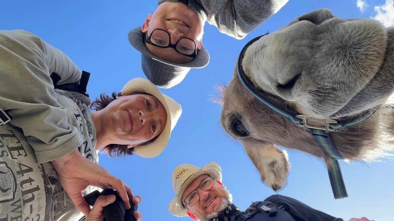 Eselwanderung auf dem Stevenson-Weg │ Frankreich/Cevennen │ Juni 2022