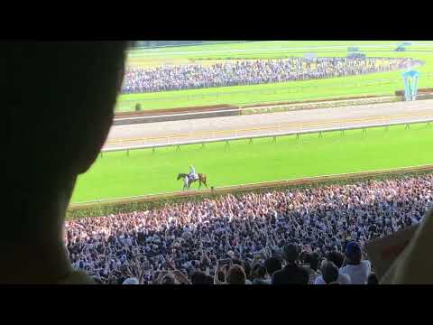 2022日本ダービー豊コール(現地最後列)