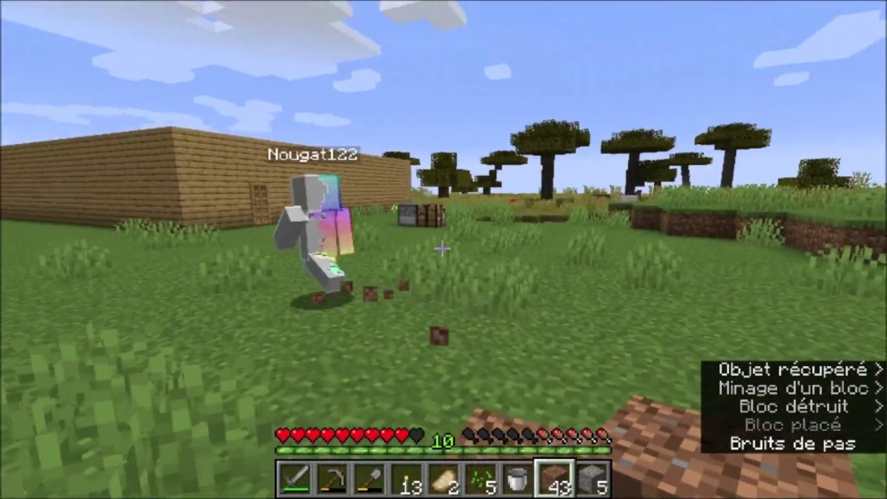 Minecraft - Random moment