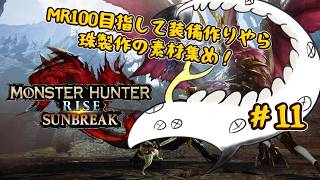 【MHR Switch版】カムラの里へ里帰りする多眼龍 #11 【ドラゴンVtuber】