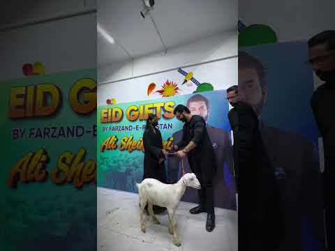 علی شیخانی نے کراچی میں بچوں کو بڑی عید پر بکرے گفٹ کئے