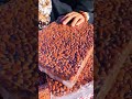 Premium Northeast Large Open-Shell Pine Nuts 🌲🥜