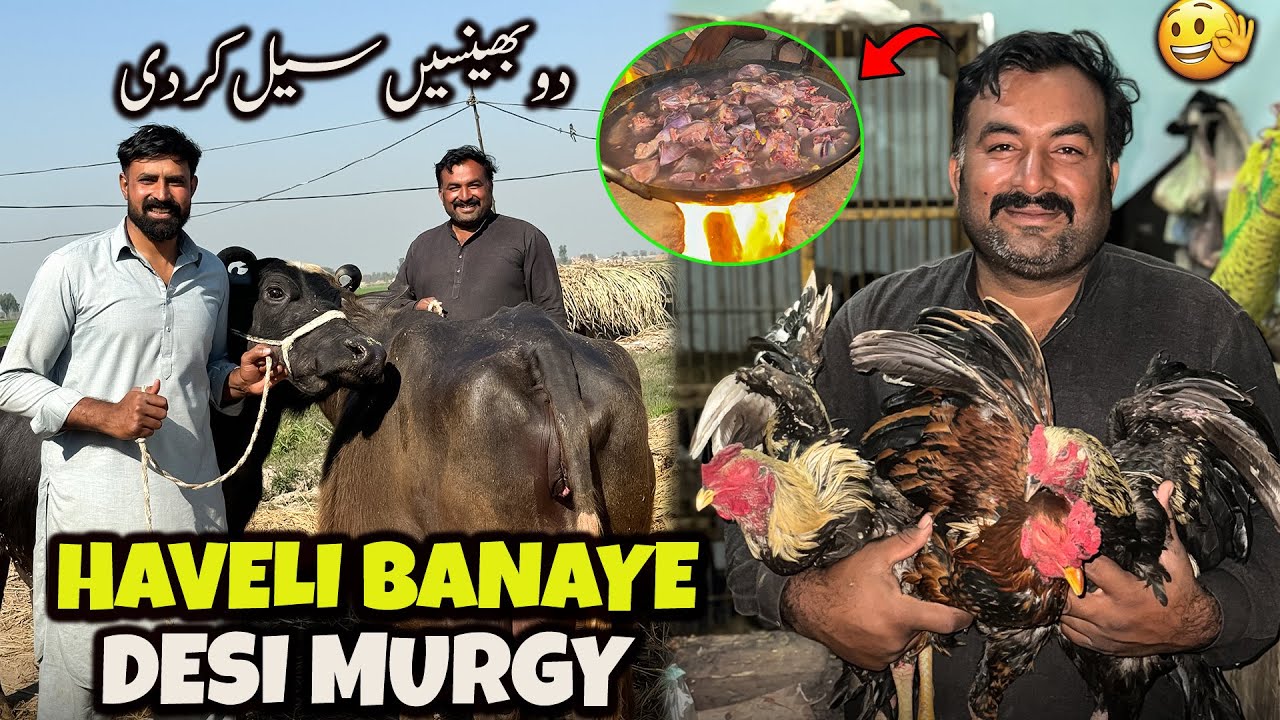 Haveli Banaye Aj Desi Murgy | Bohat Maza Aya 😋 | آج دو بھینسیں سیل کر دی