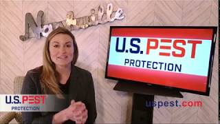 U.S. Pest President, Erica Brister on WSMV Today In Nashville Show | U.S. Pest Protection