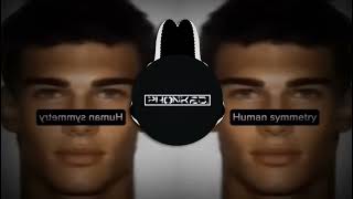 Sql2Vd - Lobotomy Alt Slowed B Boosted Human Symmetry Viral Song