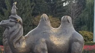 :  