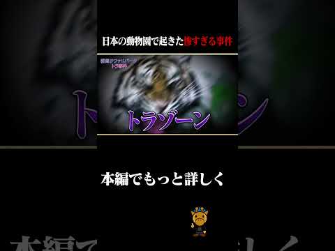 サファリパークで家族が虎に囲まれめちゃくちゃに、、＃shorts