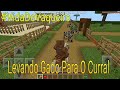 *Levando Gado Da Fazenda Elite Da Vaquejada Para o Curral Do Parque de Vaquejada 🐎🐂🐂🐎