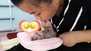 Baby monkey Lyly is very patient and enjoys every time her mother massages and cares for her!