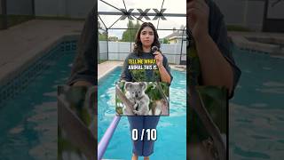 Animal Quiz Lose  Get Wet