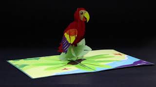 Tropical Parrot Pop Up Card