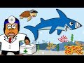 ちびザメの歌♪うみのお医者さんへ変身★つーちゃんとボビーくん♪