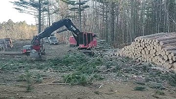 Timberpro Logmax 7000xt