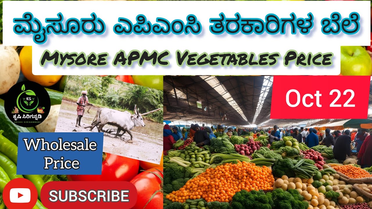 Mysore Apmc Market Vegetable Rate Price Today 22 October 2023 mysore-apmc-market-vegetable-rate-price-today-22-october-2023