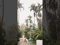 ഒരു മഴക്കാലം #rainyday #കേരള  #nostalgia