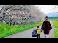 #42 🌸 When Sakura Blooms, He Starts School 🌸 A Japanese Kindergarten Story